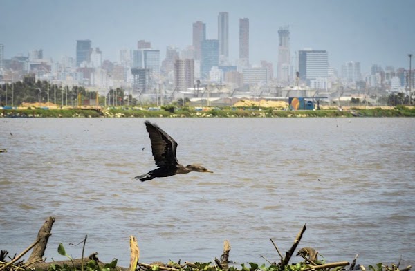 Barranquilla 4