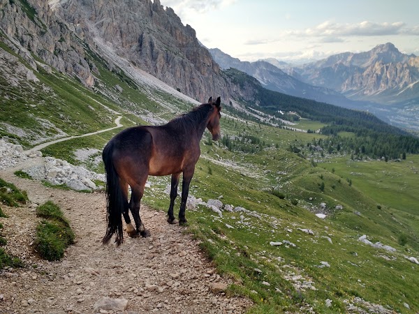 Croda da Lago / Palmieri 4