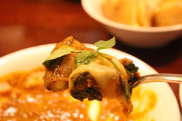 Curry Bondy 5