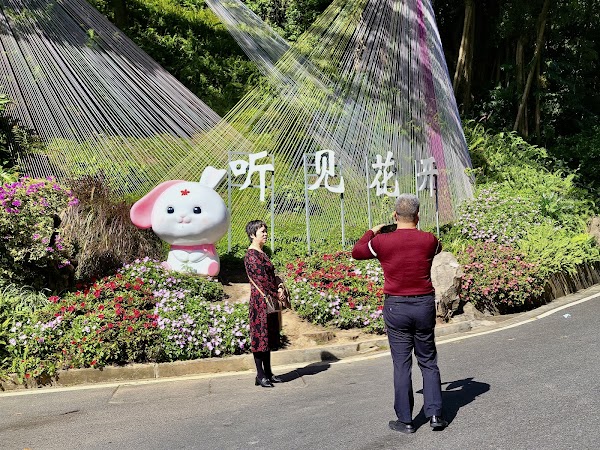 Guangzhou 🇨🇳 4