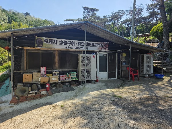 곰솔농원 5