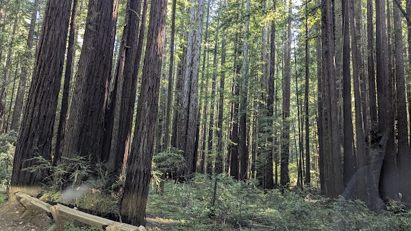 Jenner Headlands Preserve 5