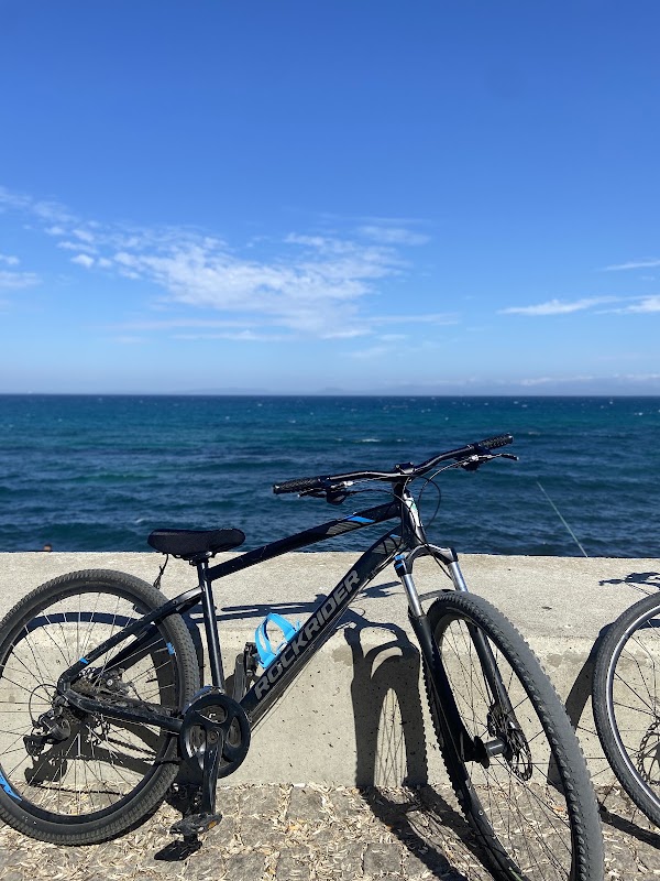 MJ Bike 4