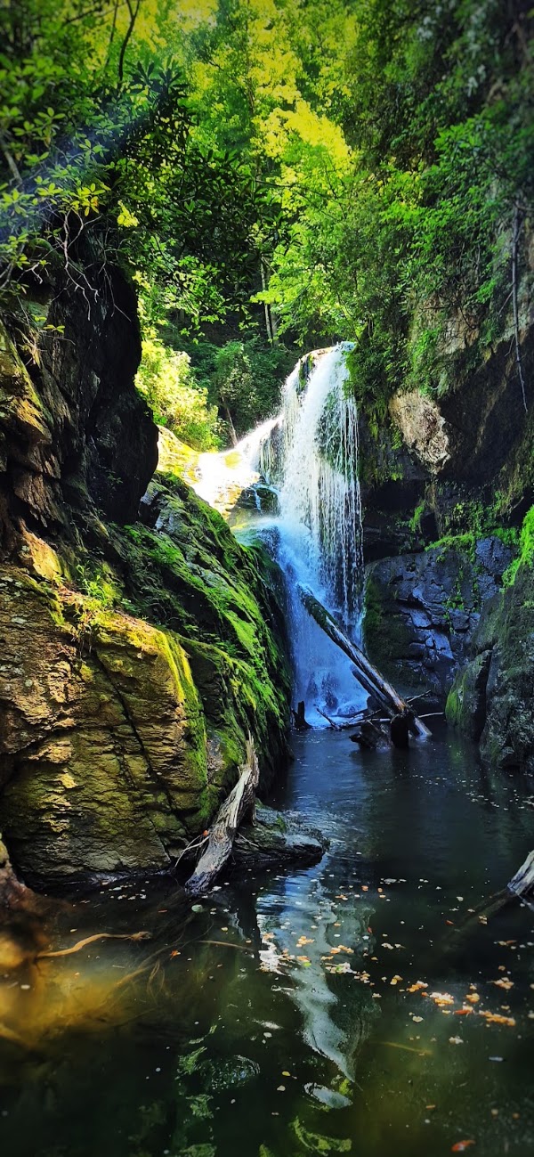 Jocassee Gorges Wilderness Area