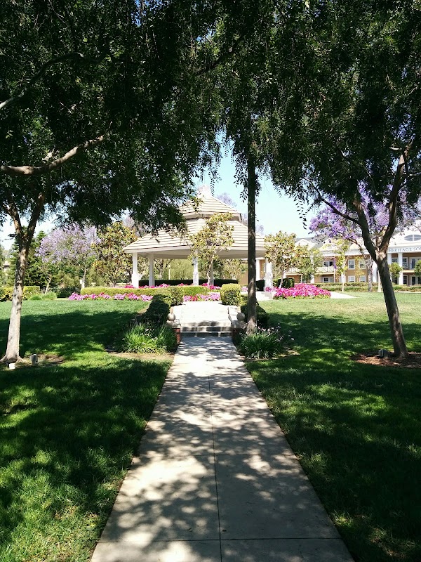 Town Green 2