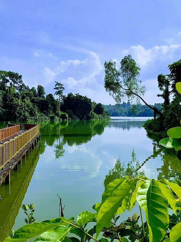 Mandai Boardwalk
