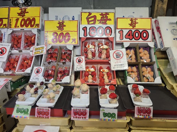 Tsukiji Iroha 2
