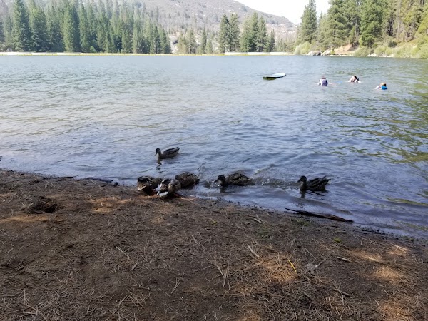Hume Lake 4