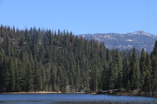 Hume Lake 2