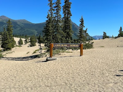 Carcross Desert