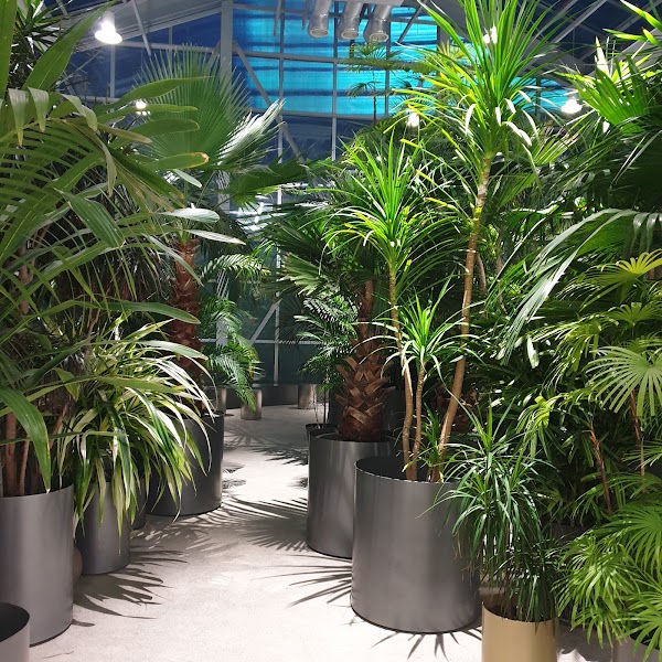 Botanical Garden PH
