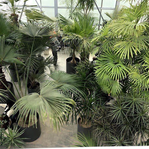 Botanical Garden PH 3