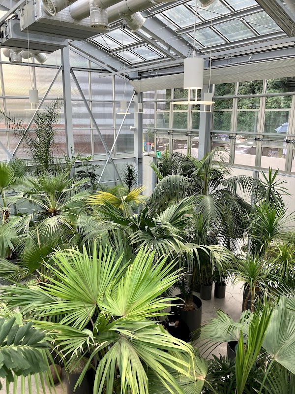 Botanical Garden PH 2