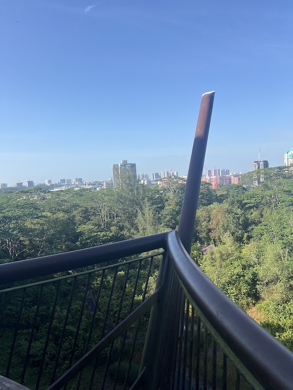 Colugo Deck 4