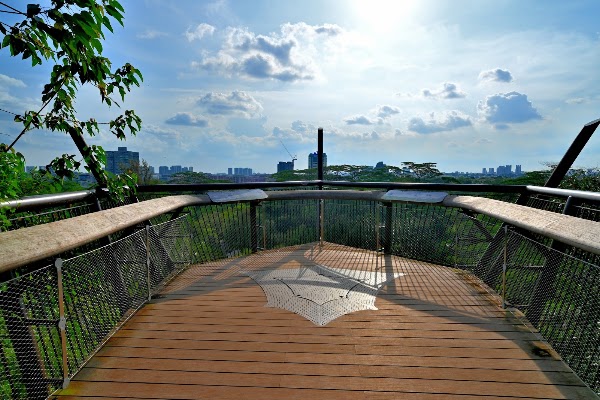 Colugo Deck 3