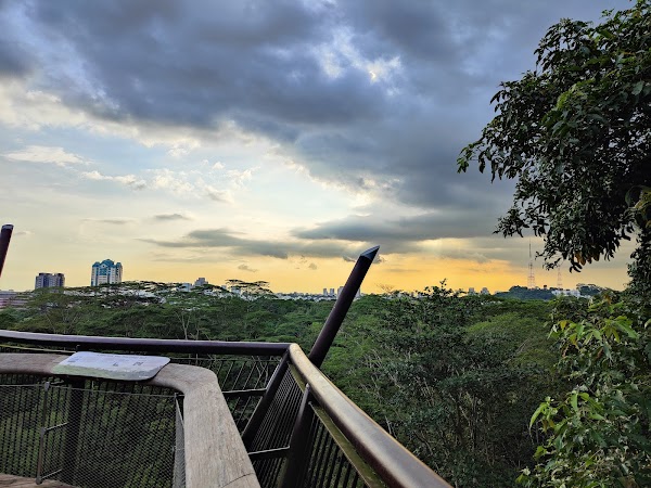 Colugo Deck 2