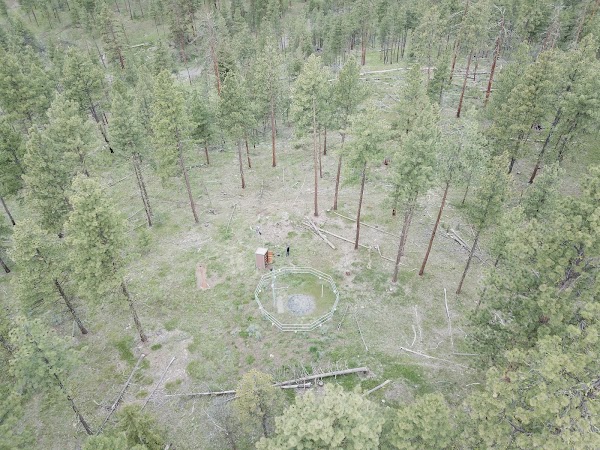 Malheur National Forest