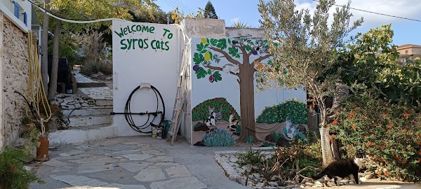 Syros Cats 1