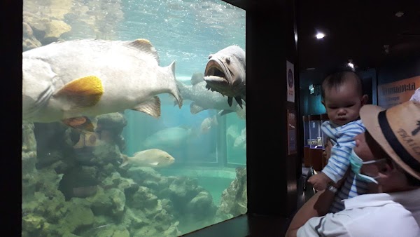 Phuket Aquarium 4
