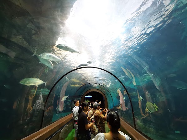 Phuket Aquarium 2