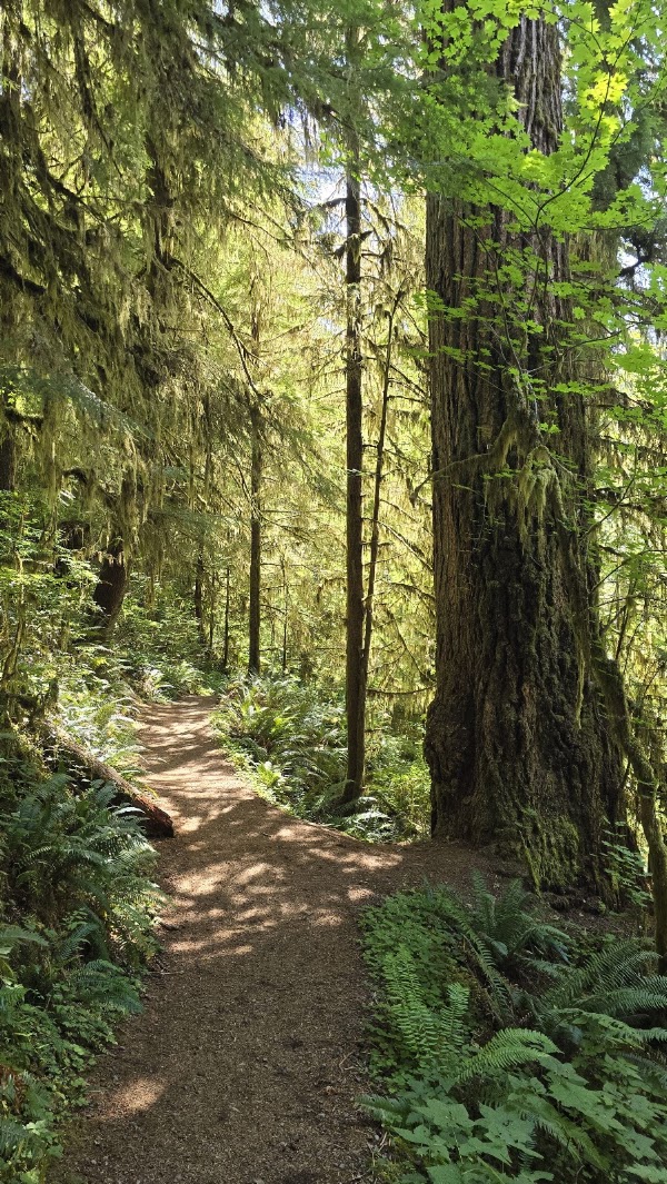North America National Parks 22