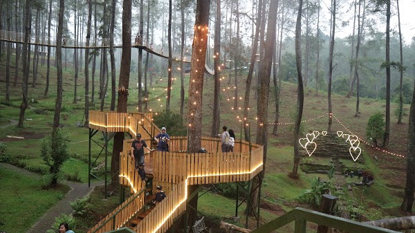 Orchid Forest Cikole 4