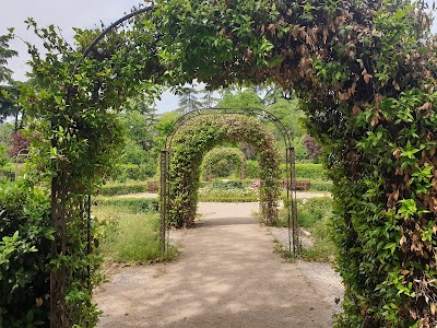 Rosaleda