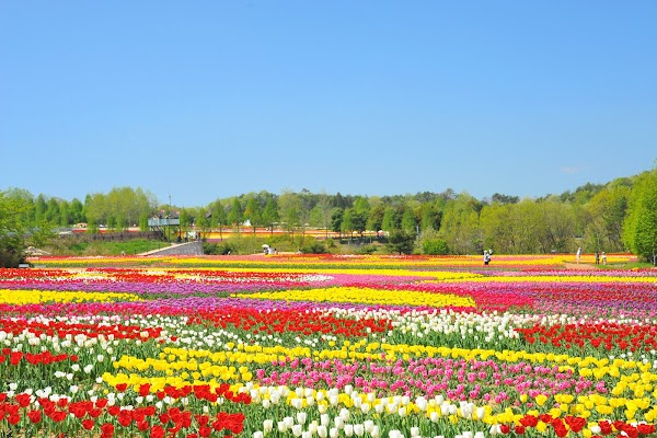 Serakogen farm