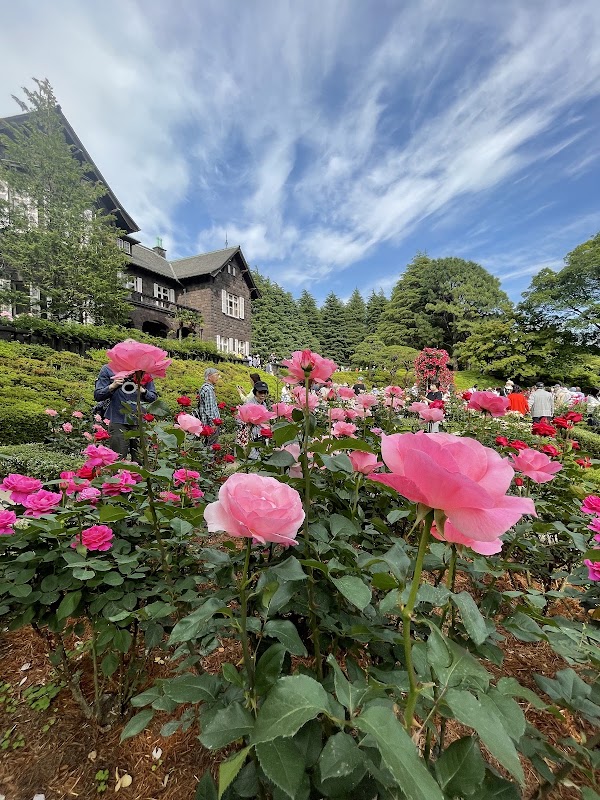 Kyu-Furukawa Gardens 3