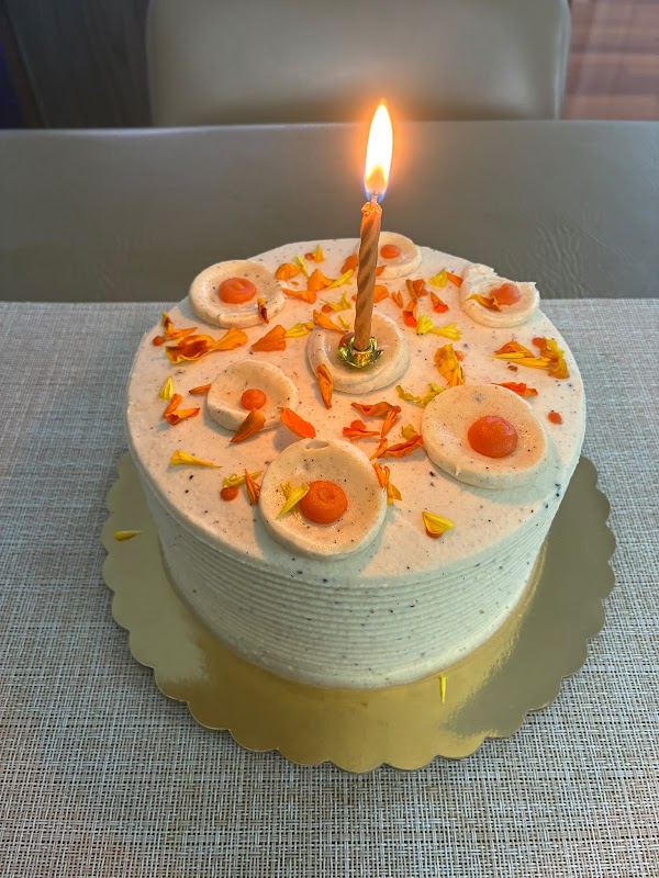 Hani’s bakery + café 3