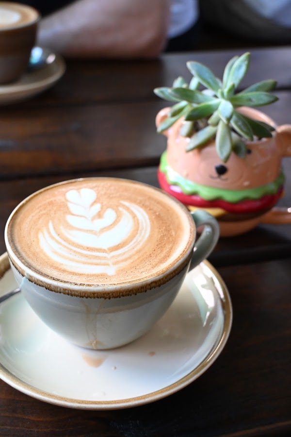 That's Whyld Coffee & Connections 1
