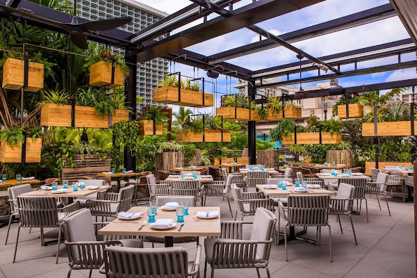 Herringbone Waikiki