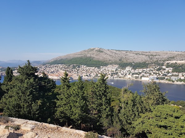 Lokrum Botanical Garden 6