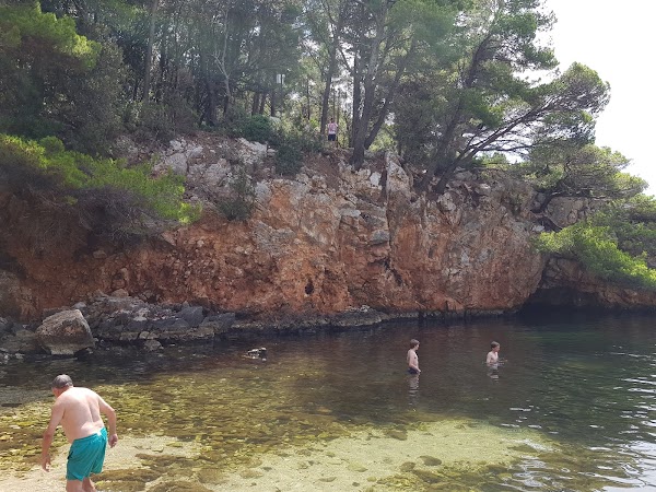 Lokrum Botanical Garden 5