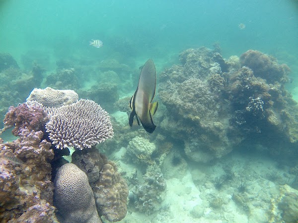 Abang Island