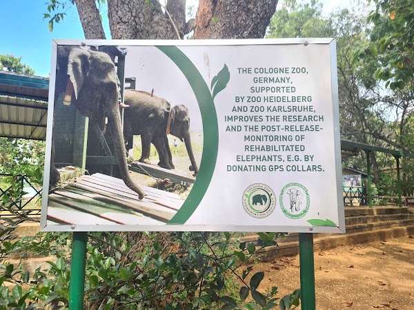 Elephant Transit Home 4