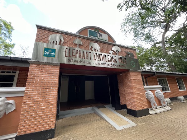 Elephant Transit Home 3