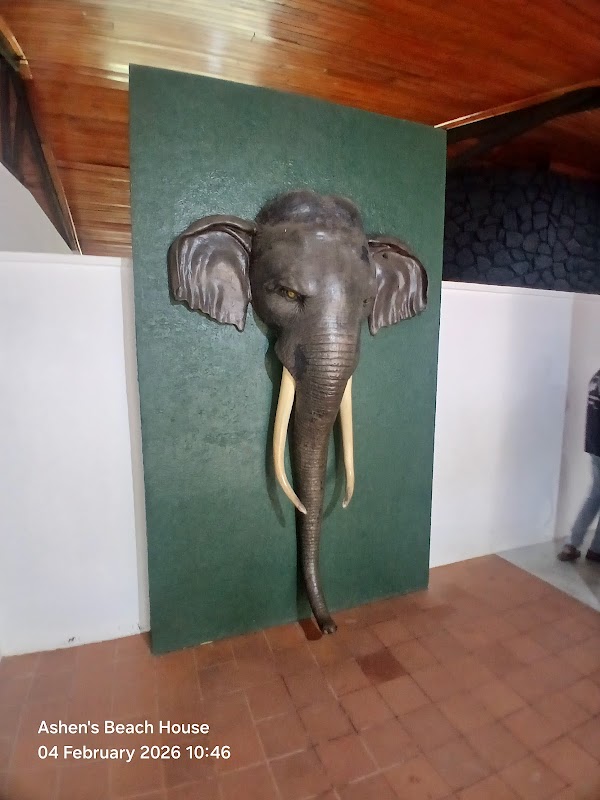 Elephant Transit Home 2