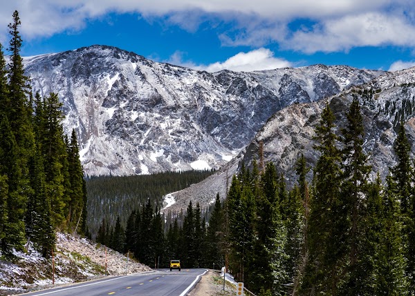 Cottonwood Pass 5
