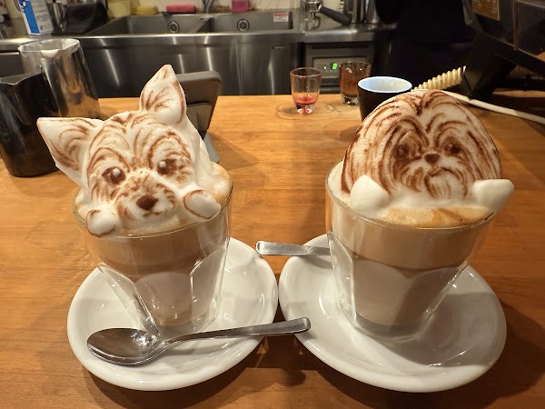 HATCOFFEE 3
