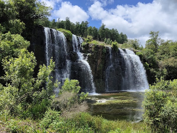 Forest Falls 1