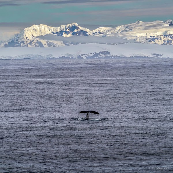 Drake Passage