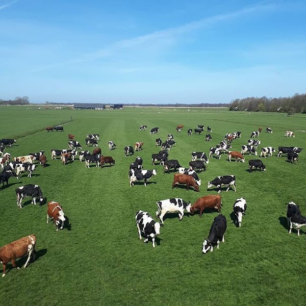 De Meentboerderij