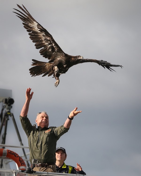 Raptor Refuge