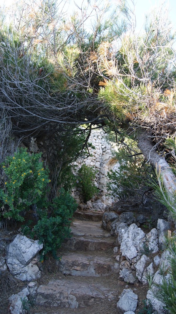 Chemin des Douaniers 4