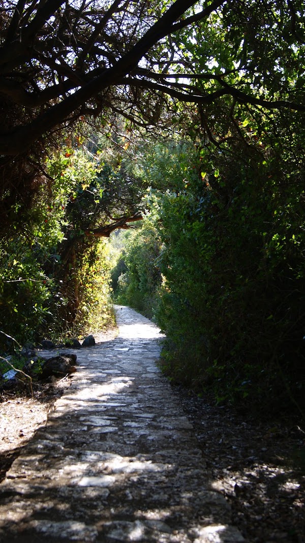 Chemin des Douaniers 2
