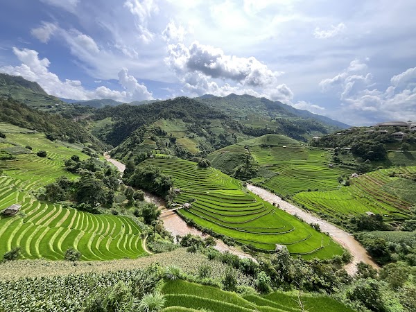 Mù Cang Chải Rice Terrace View Point 5