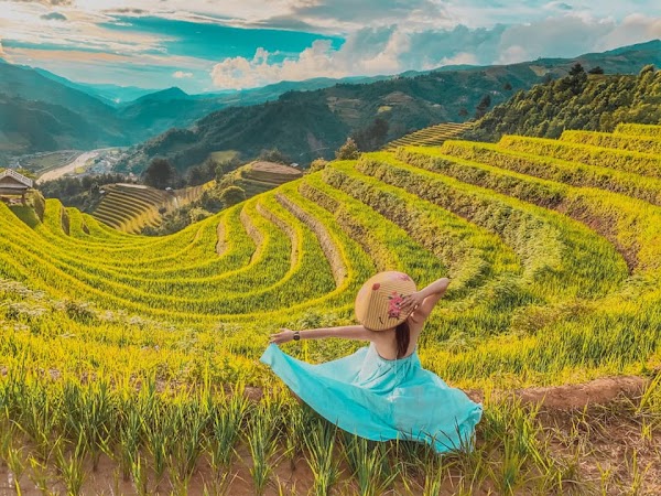 Mù Cang Chải Rice Terrace View Point 4