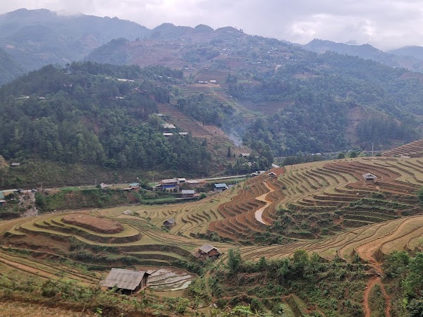 Mù Cang Chải Rice Terrace View Point 3