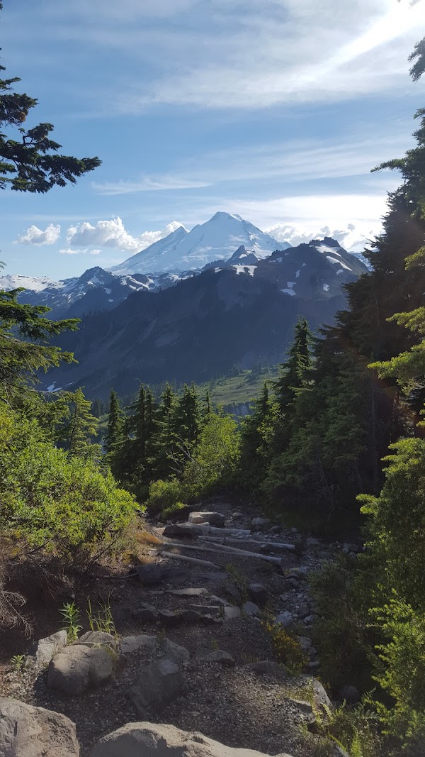 Mount Baker Highway